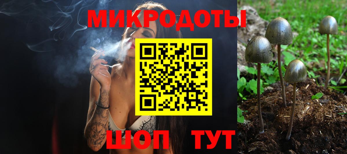 Шадринск  Псилоцибиновые грибы Magic Shrooms  Псилоцибиновые грибы ЛСД  Вход с VPN 