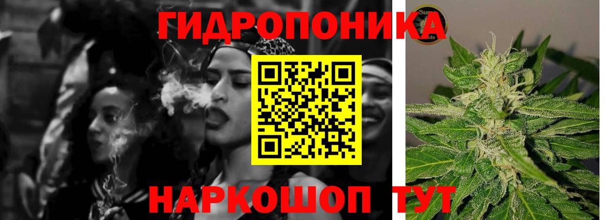 Бошки Шишки VHQ Шадринск